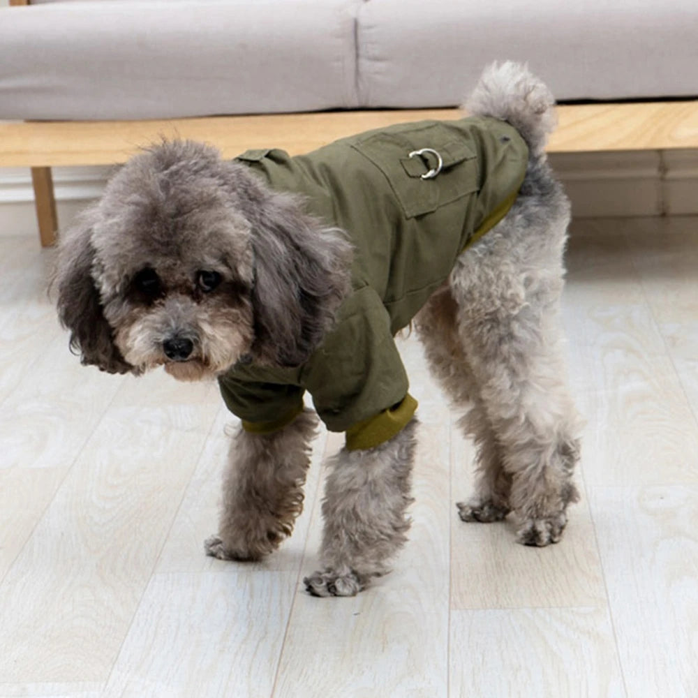 Warm Dog Jacket with Harness for Winter Hiking