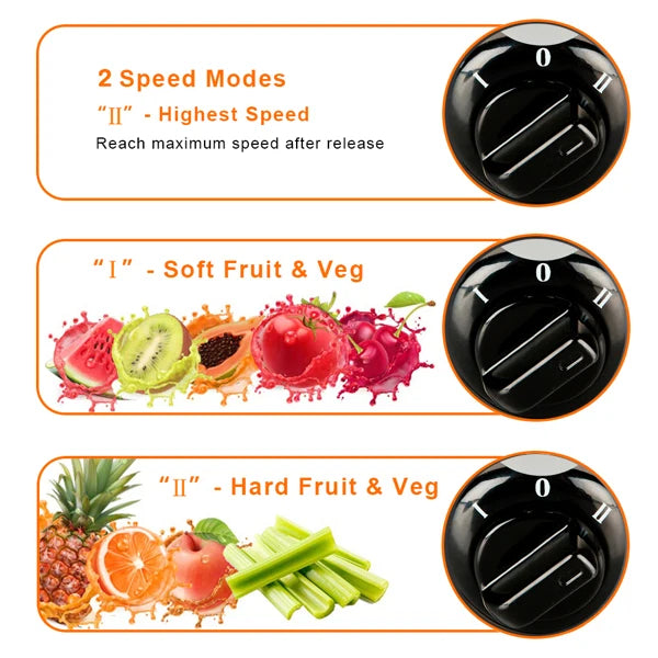 800W Multi Electric Juicer for Fresh Homemade Juice