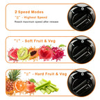 800W Multi Electric Juicer for Fresh Homemade Juice