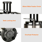 800W Multi Electric Juicer for Fresh Homemade Juice