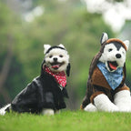 Windproof Warm Dog Leather Jacket for All Seasons