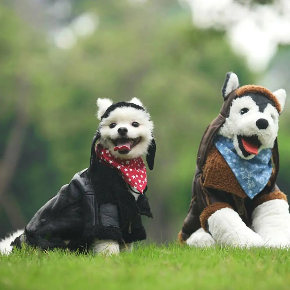 Windproof Warm Dog Leather Jacket for All Seasons