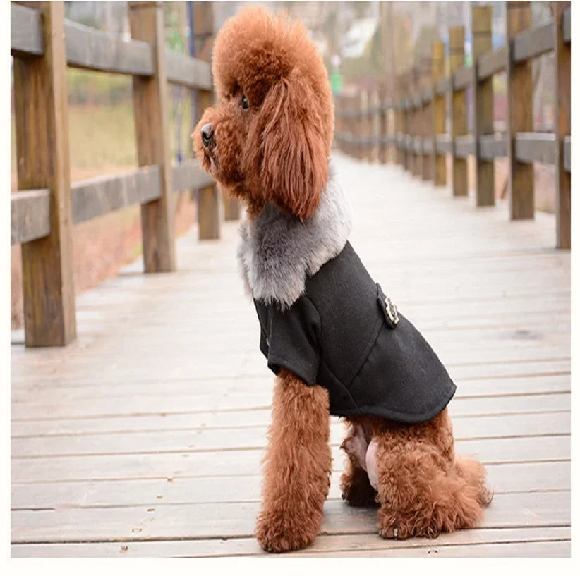 Warm Winter Dog Coat with Fur Collar for Small Dogs