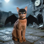 Halloween Pet Bat Costume Set for Cats and Dogs