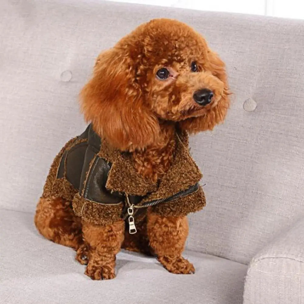 Windproof Warm Dog Leather Jacket for All Seasons