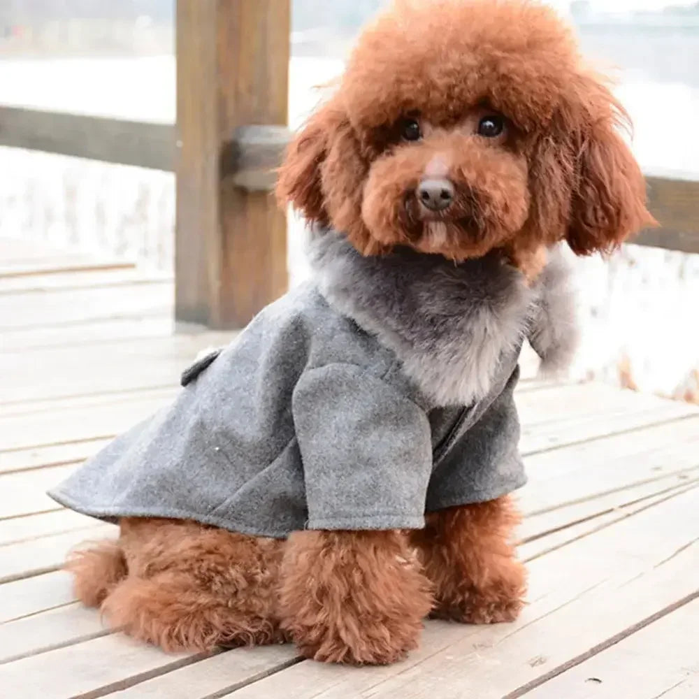 Warm Winter Dog Coat with Fur Collar for Small Dogs