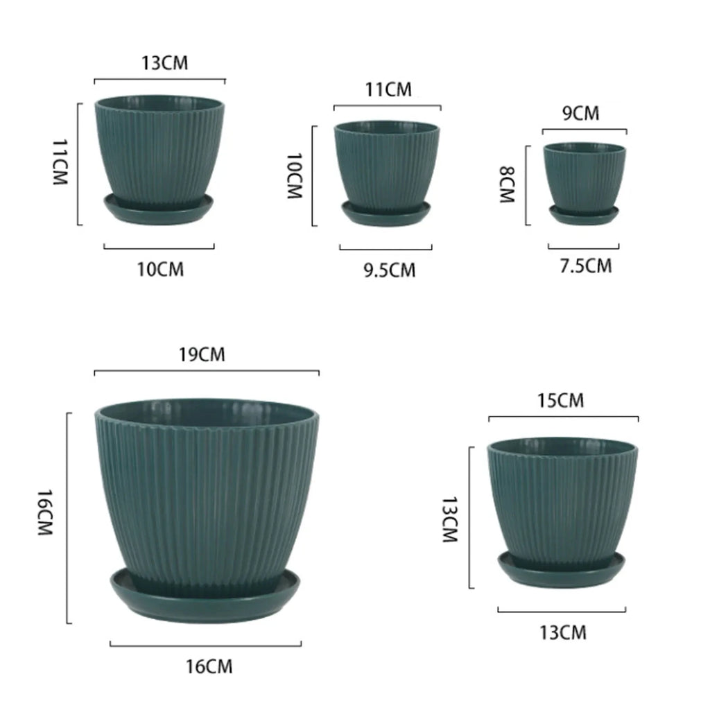 Round Succulent Pots with Tray for Home and Office