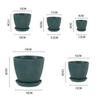 Round Succulent Pots with Tray for Home and Office