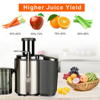 800W Multi Electric Juicer for Fresh Homemade Juice