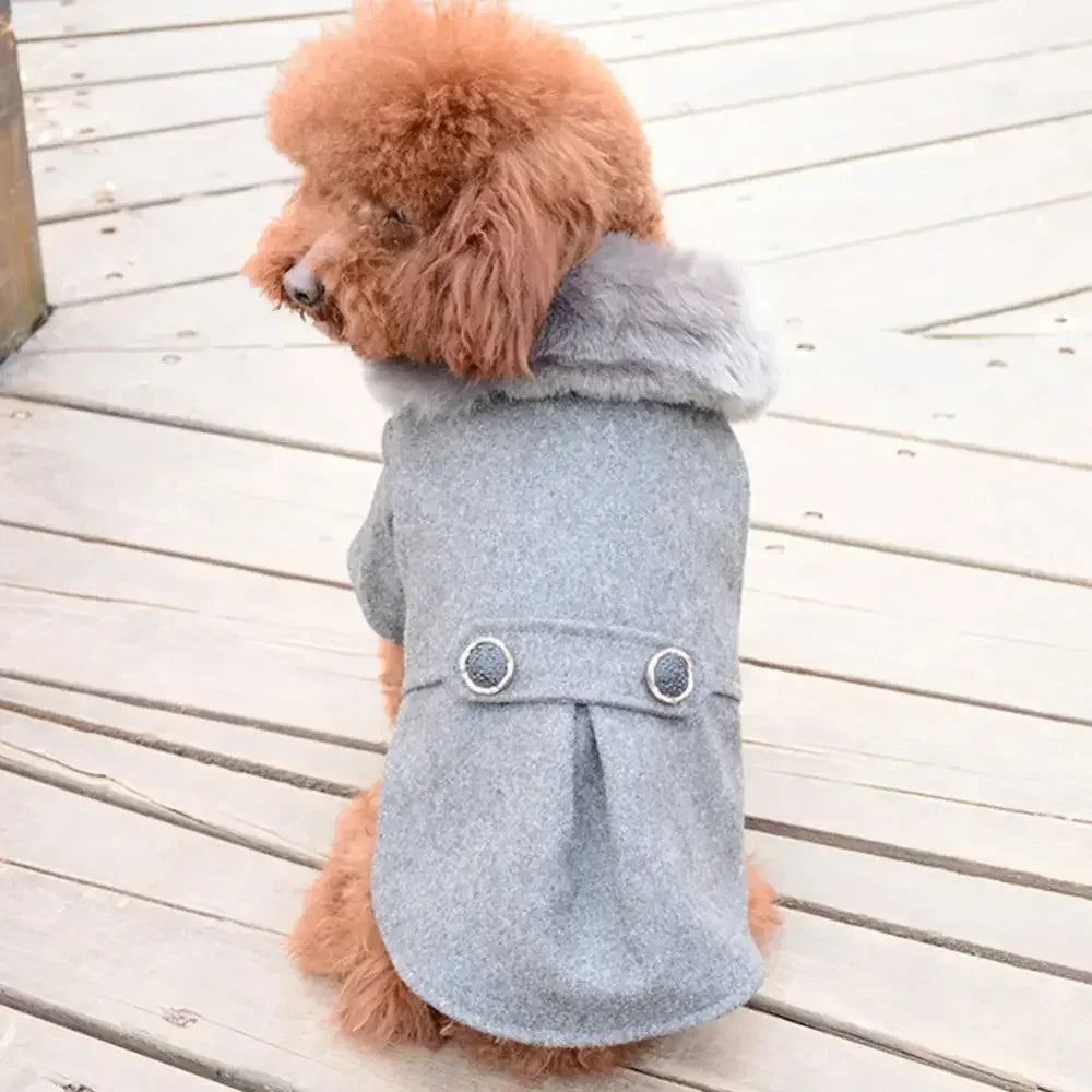 Warm Winter Dog Coat with Fur Collar for Small Dogs
