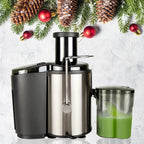 800W Multi Electric Juicer for Fresh Homemade Juice