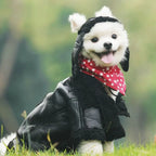 Windproof Warm Dog Leather Jacket for All Seasons