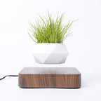 Floating Rotating Bonsai Pot: Magnetic Levitation Planter