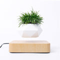 Floating Rotating Bonsai Pot: Magnetic Levitation Planter