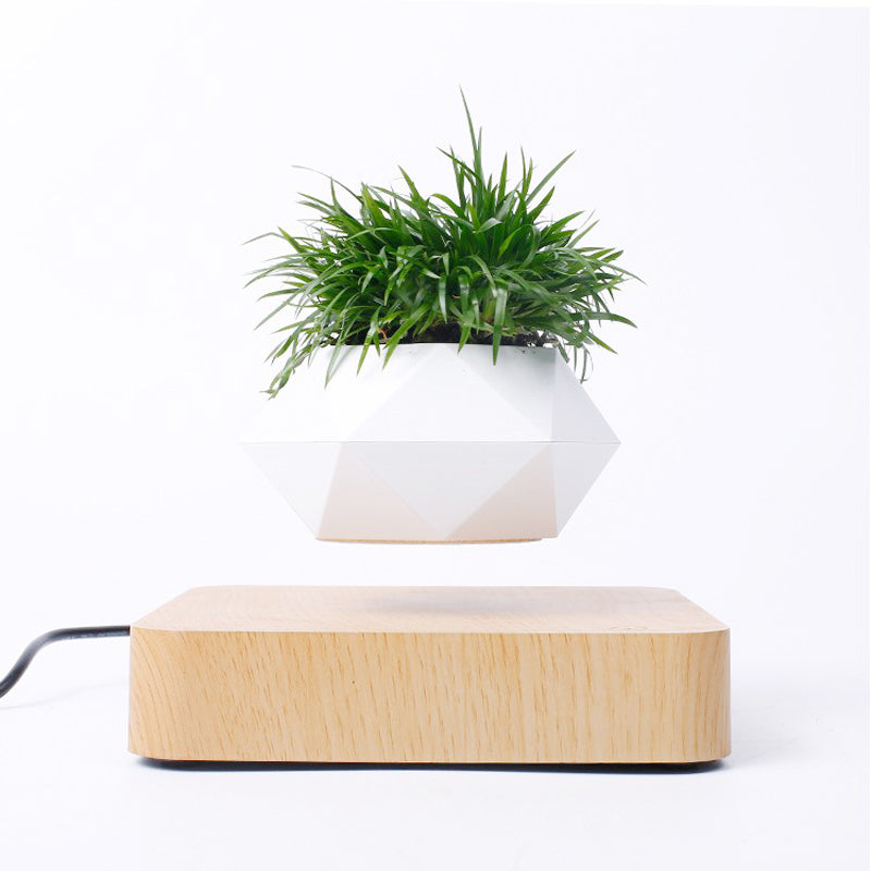 Floating Rotating Bonsai Pot: Magnetic Levitation Planter